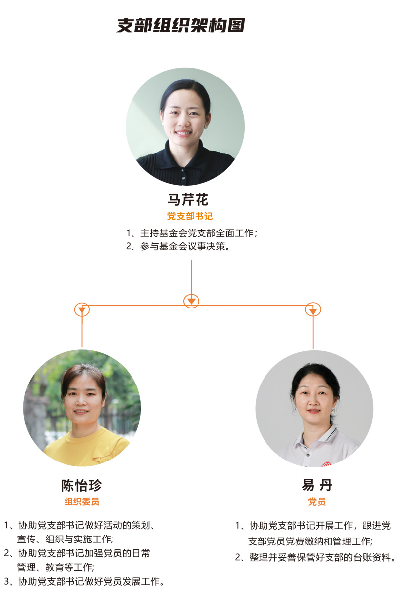 党支部组织架构